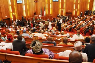 Step By Step Guide To Remove Lawmakers From Office As Citizens Of Nigeria